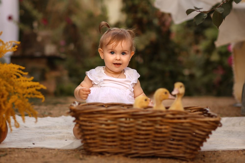 Photograph by Мария Петухова