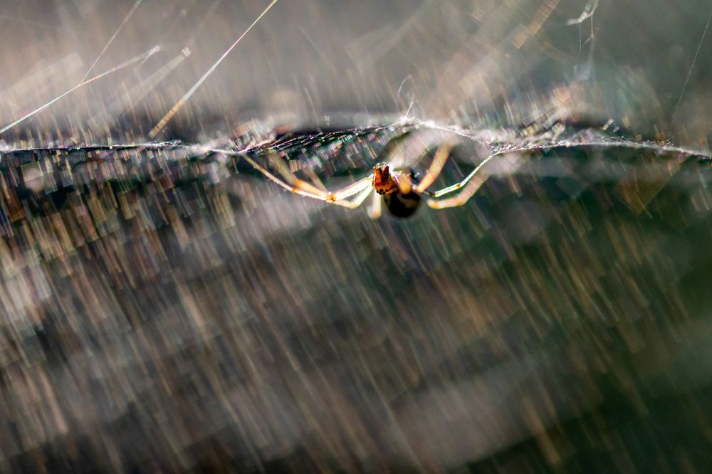 Photograph by Андрей Зуев