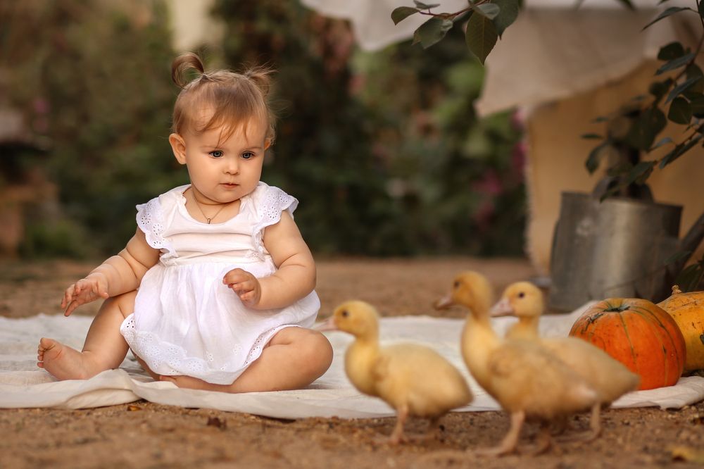 Photograph by Мария Петухова