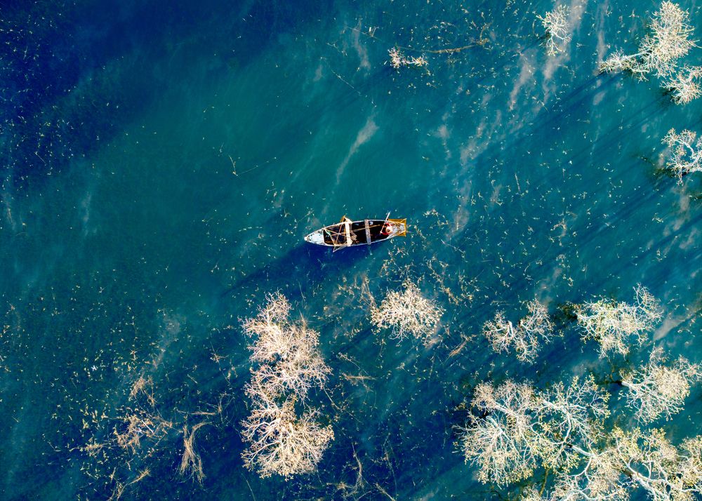 Photograph by Le Kim Phuc