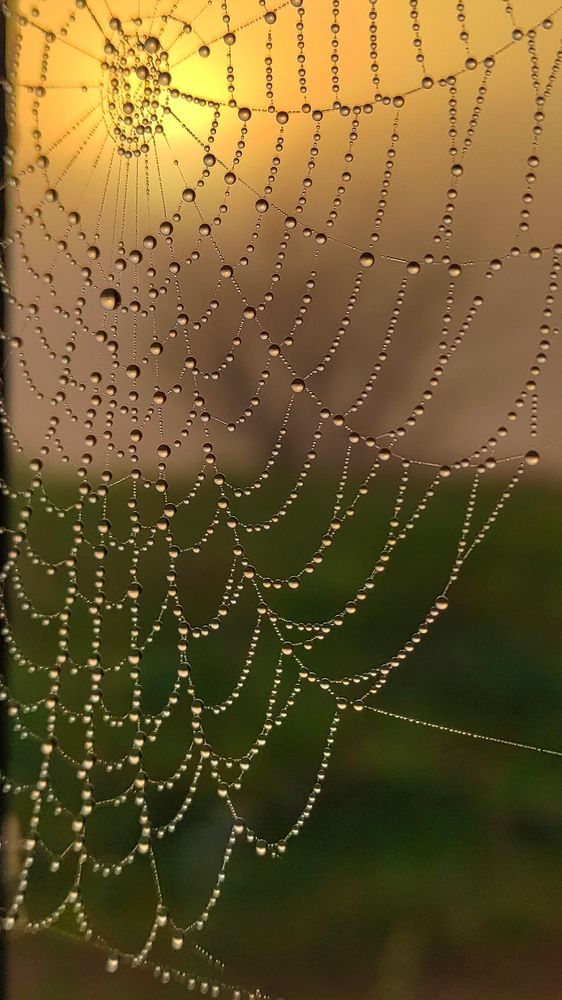 Photograph by ANDREY PERESHEIN