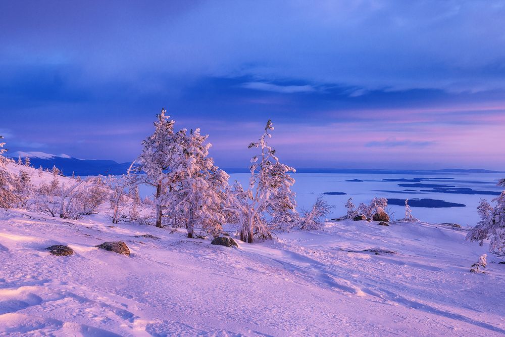 Photograph by Липецких Владимир