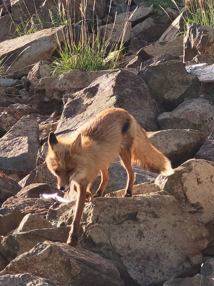 Фотография автора Казакова Людмила Ивановна