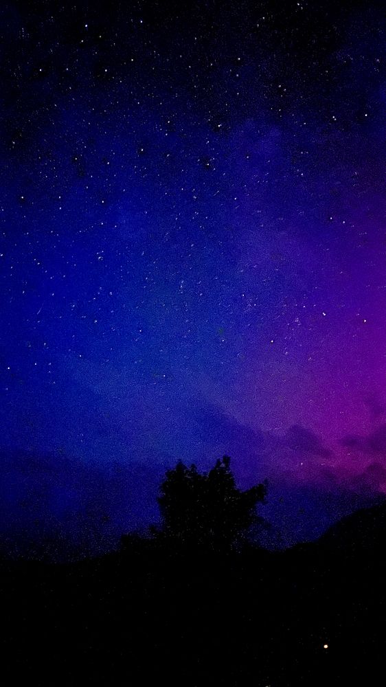 Photograph by Максим Яцушко