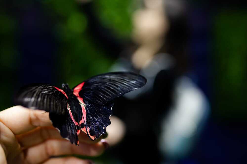 Photograph by Вера Скуратова