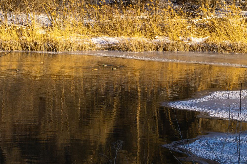 Фотография автора Владимир Хакимов