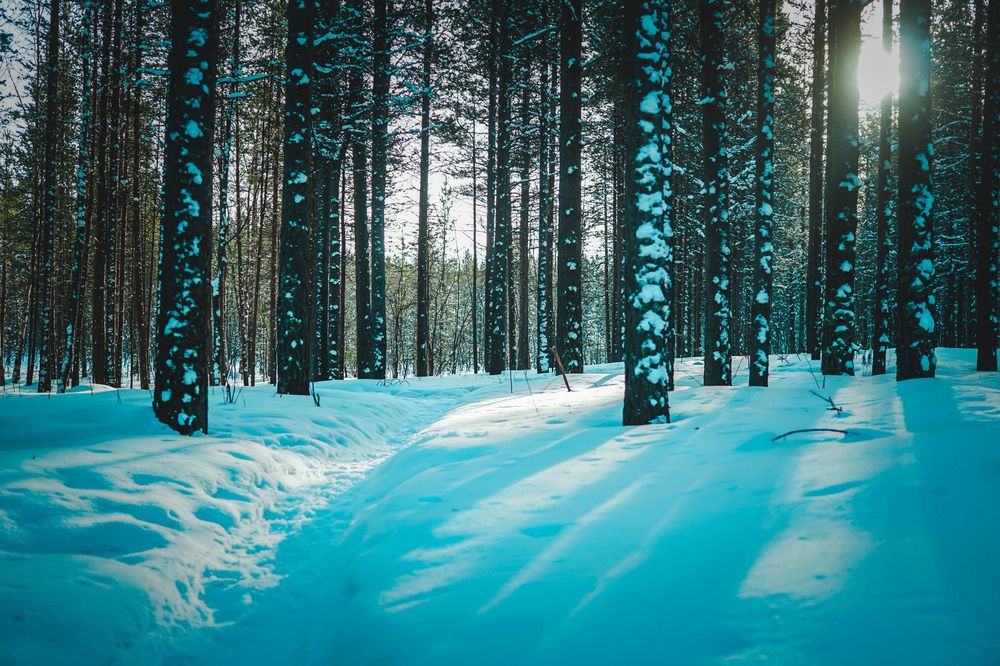 Photograph by Валерий Иванов