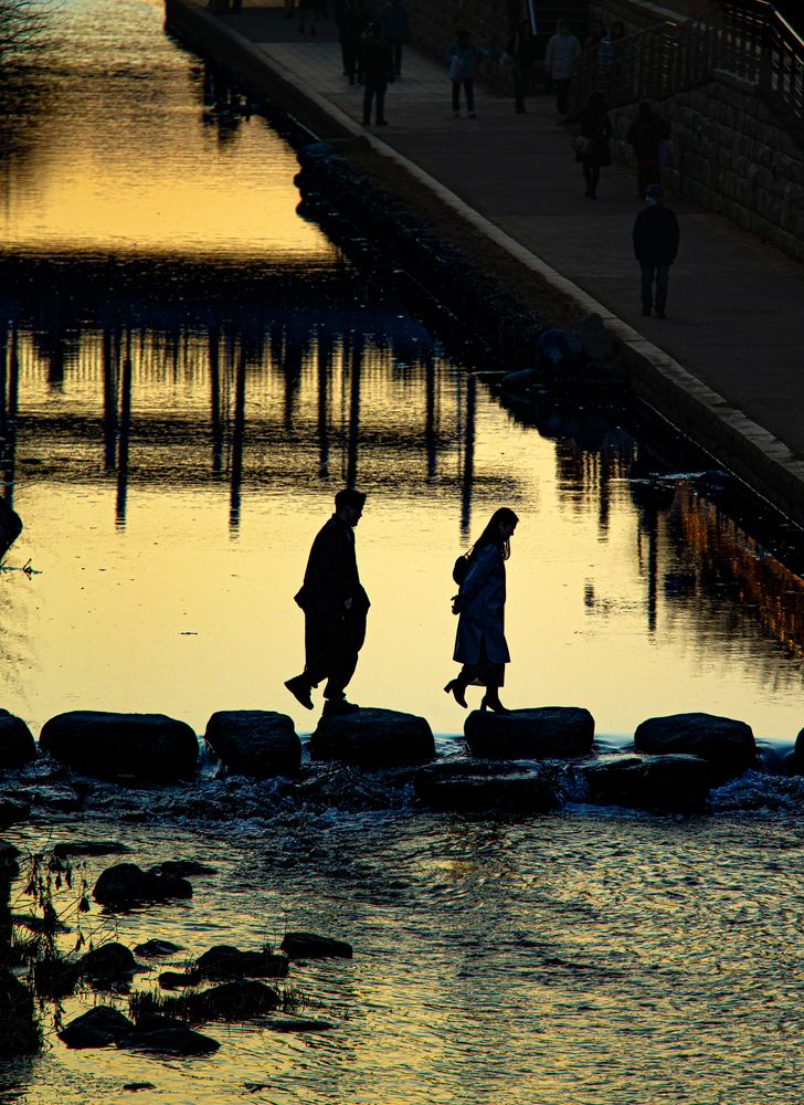 Фотография автора Tin Hung