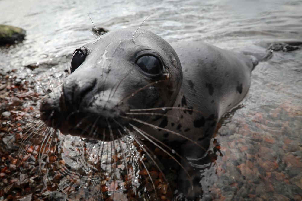 Photograph by Марина Александрова