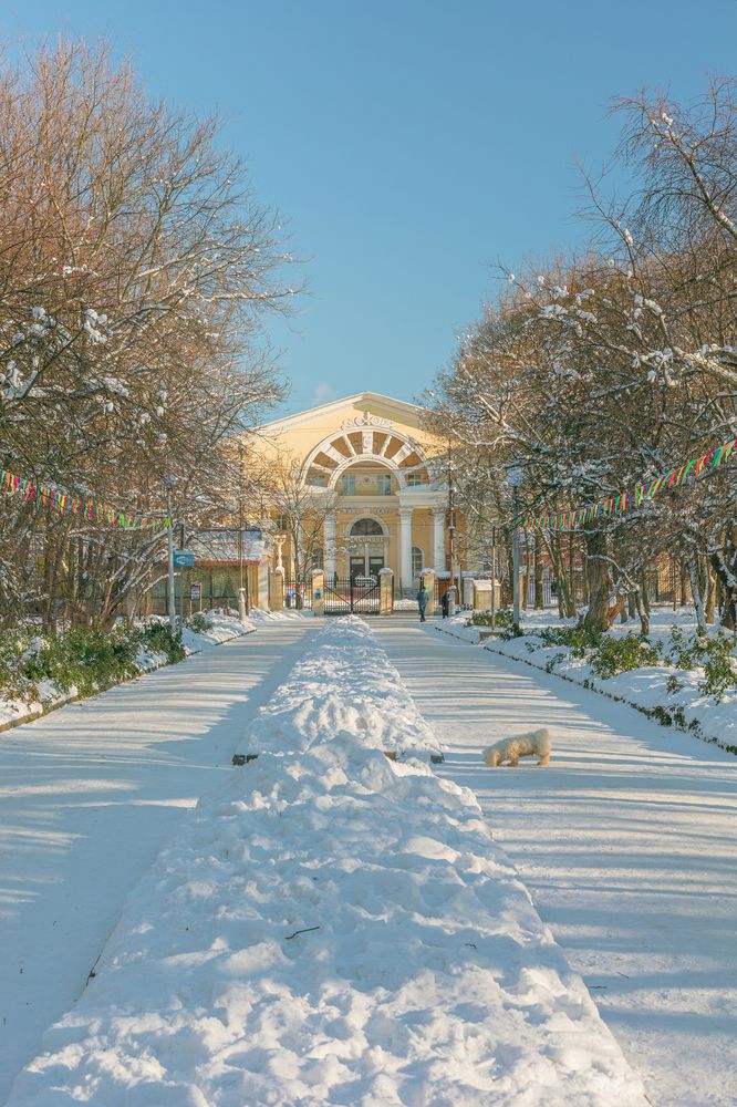 Photograph by Илья Ровинский