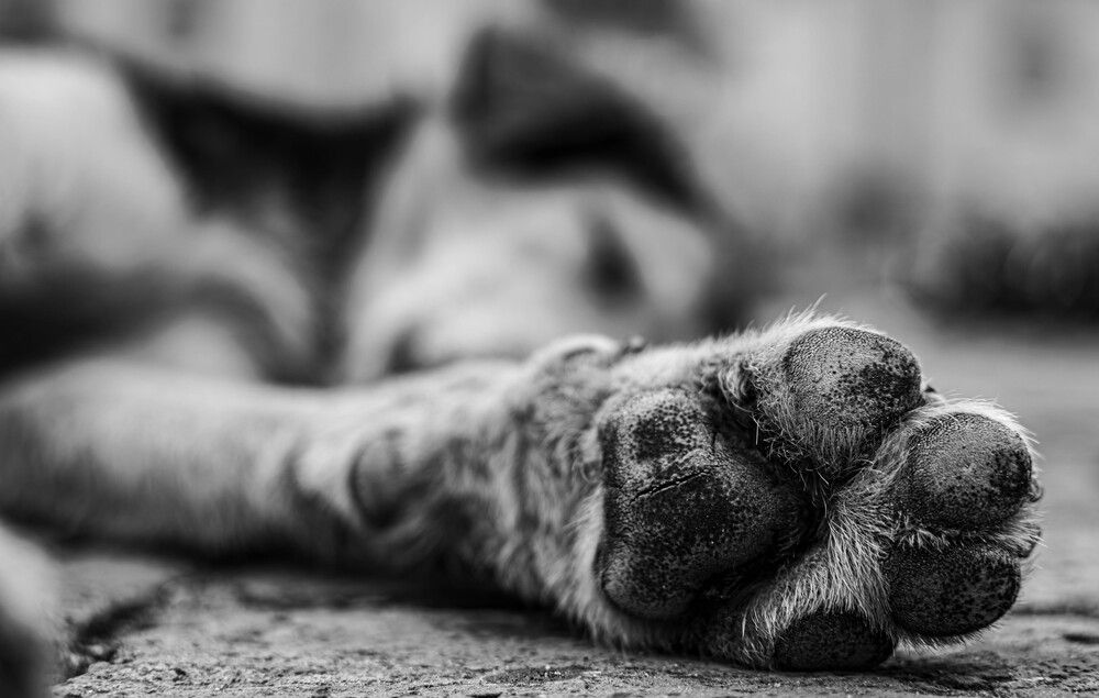 Фотография автора Lina María González Triana