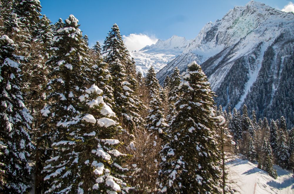 Photograph by Галина Григорьева