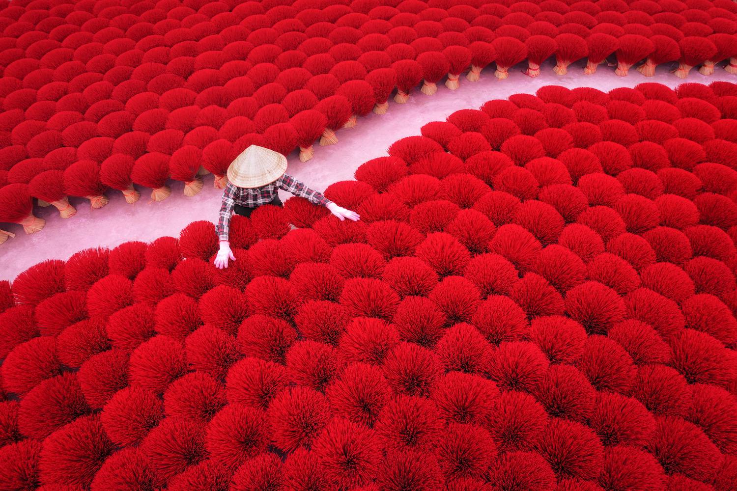 Фотография #12010499