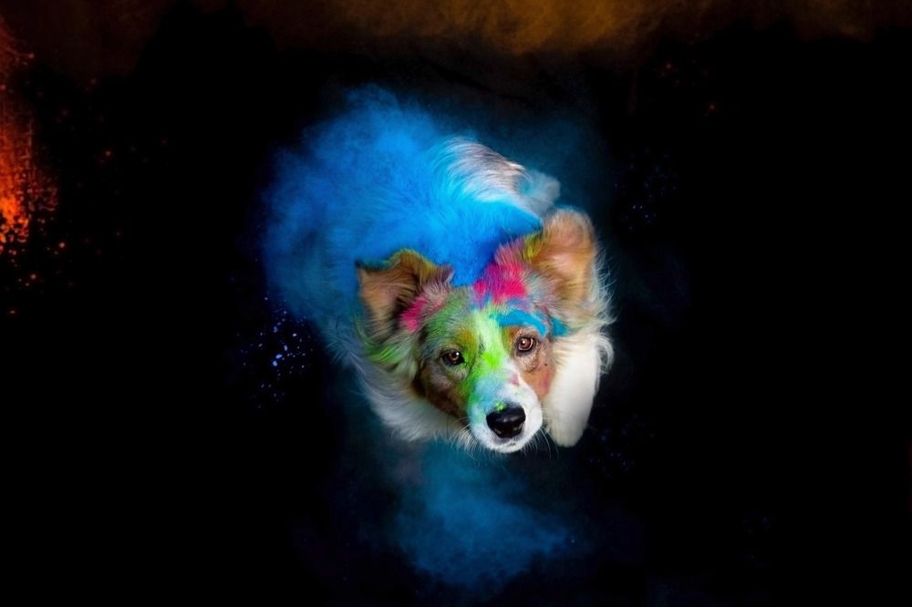 Фотография автора Полина Жаринова