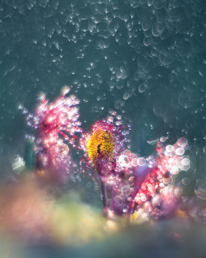 Опасные сокровища