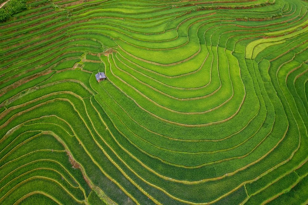 Photograph by Daniel Viñé Garcia