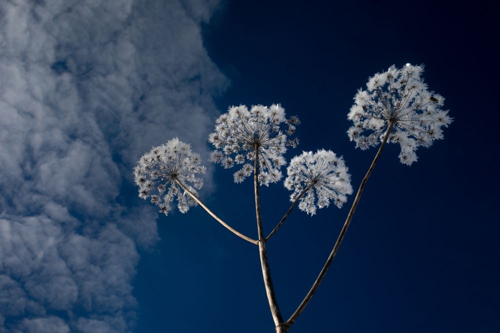 Дыхание неба