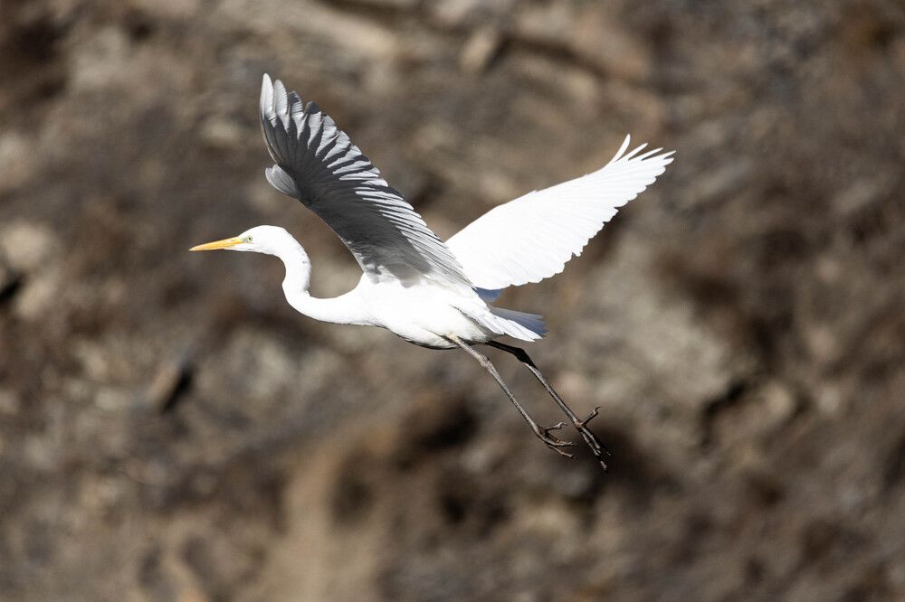 Photograph by Родион Нарудинов