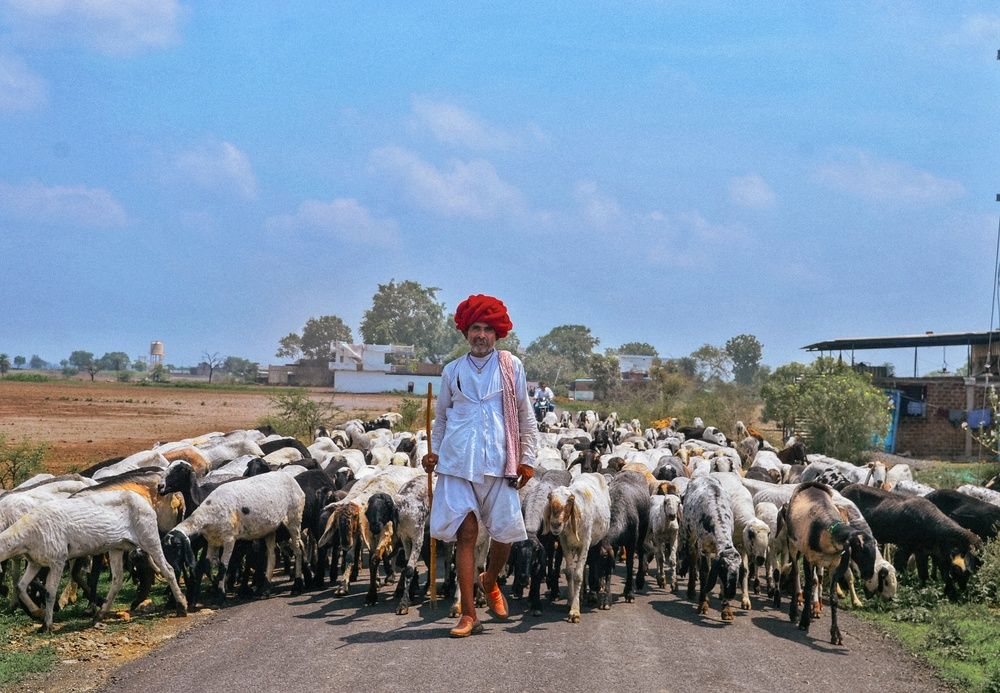 Photograph by Shalabh Srivastava