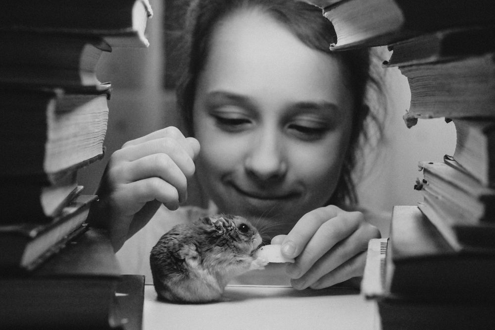 Photograph by Татьяна Чиглинцева