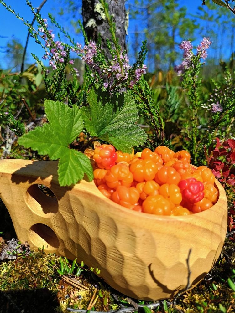 Photograph by Татьяна Бешенкина