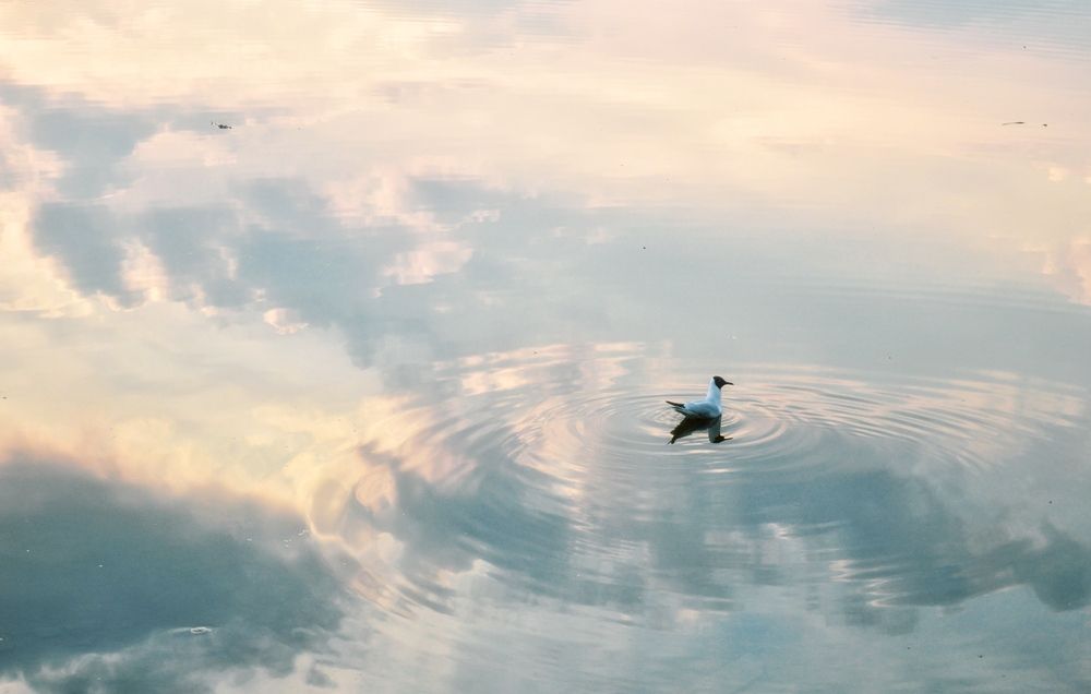 Photograph by Анастасия Костылева