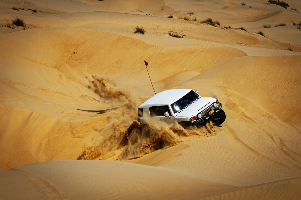 Полет , Орла