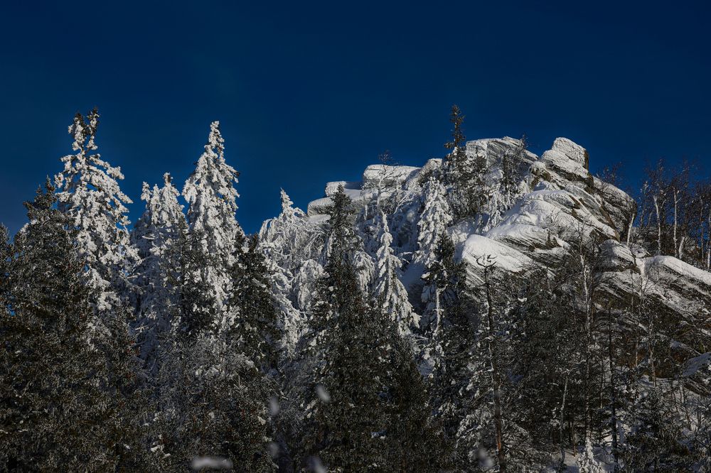 Фотография автора Олег Каргаполов