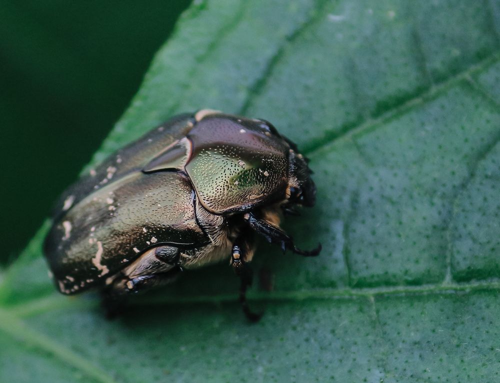 Photograph by Елена Федорова