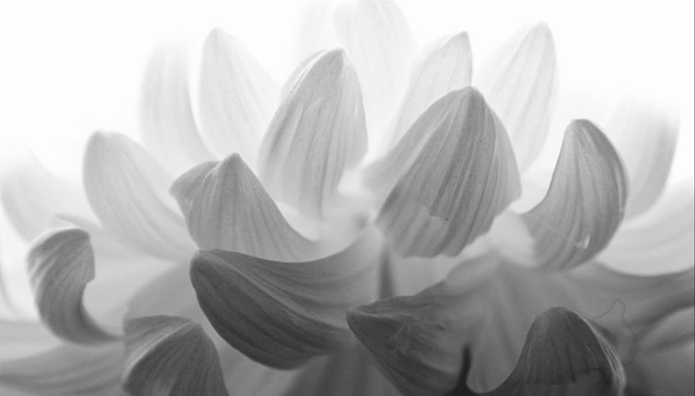 Photograph by Ирина Швейнова