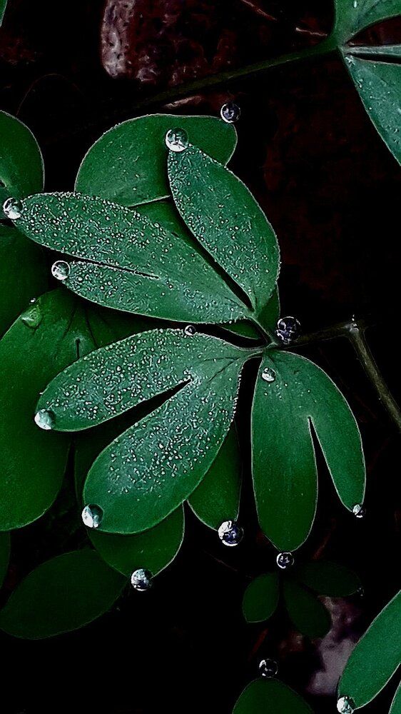 Photograph by Татьяна Солтан