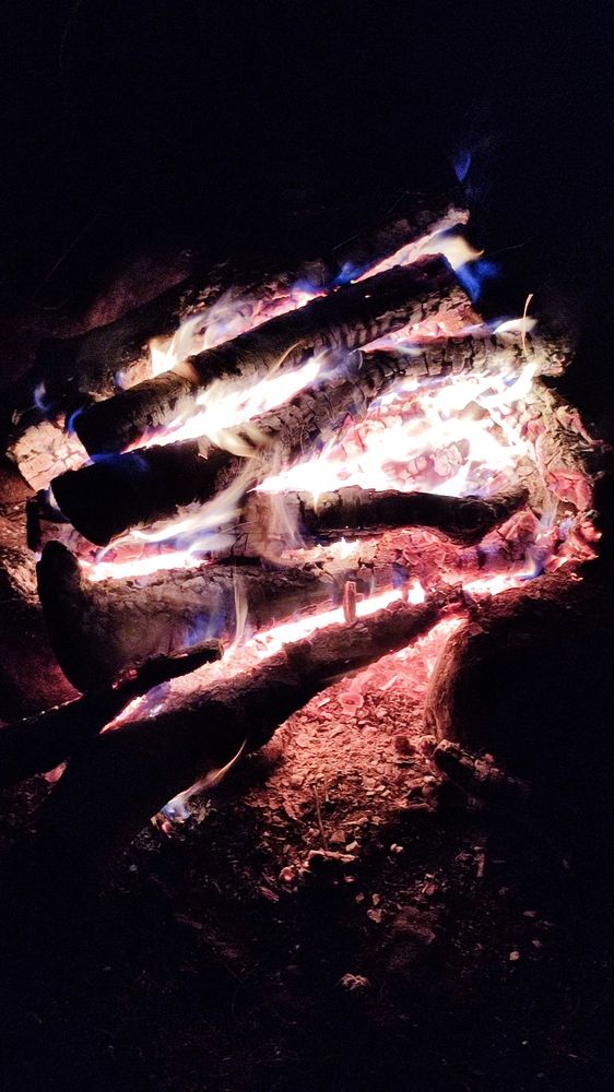 Photograph by Полина Скурская