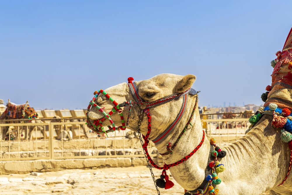 Photograph by Владимир Роля