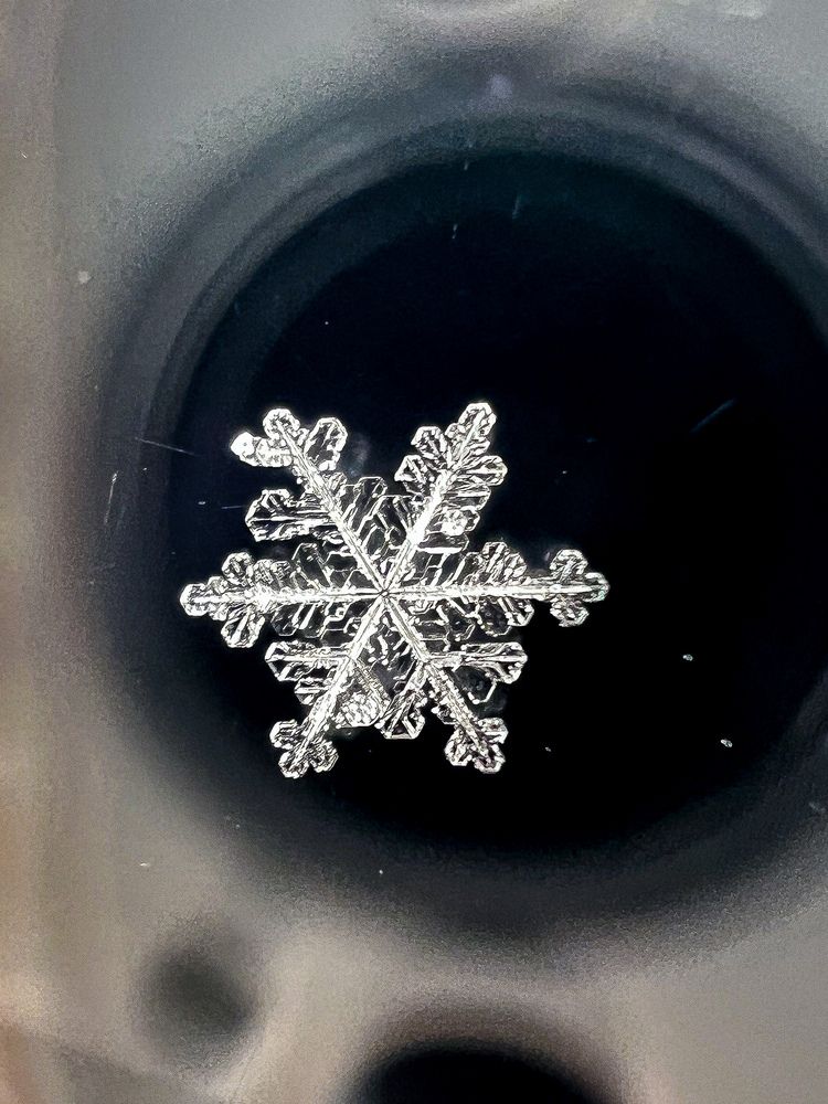 Photograph by Elvira