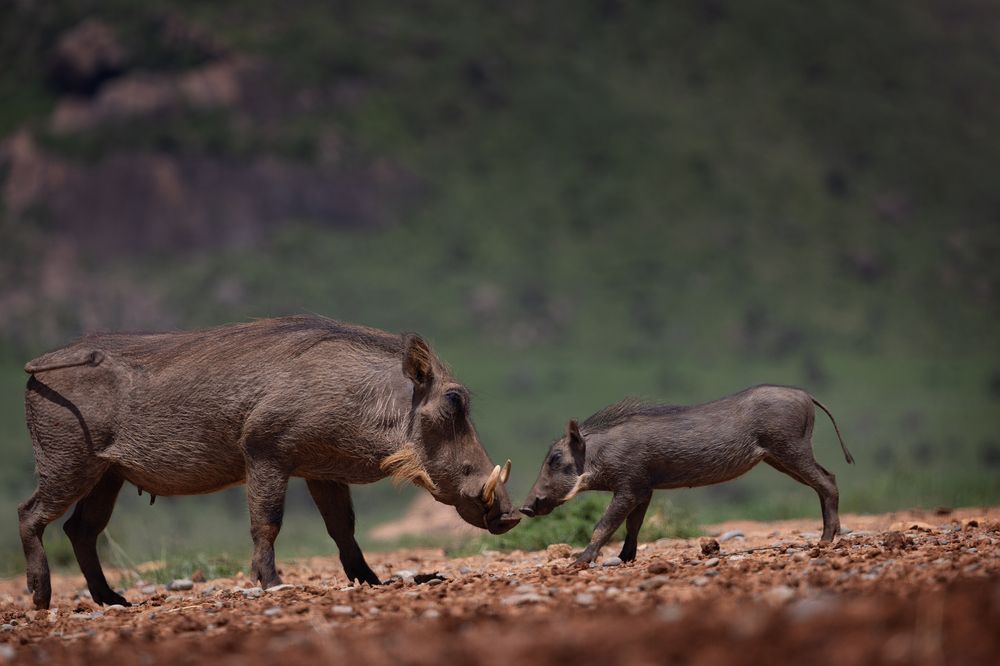 Photograph by Ольга Шайдулина