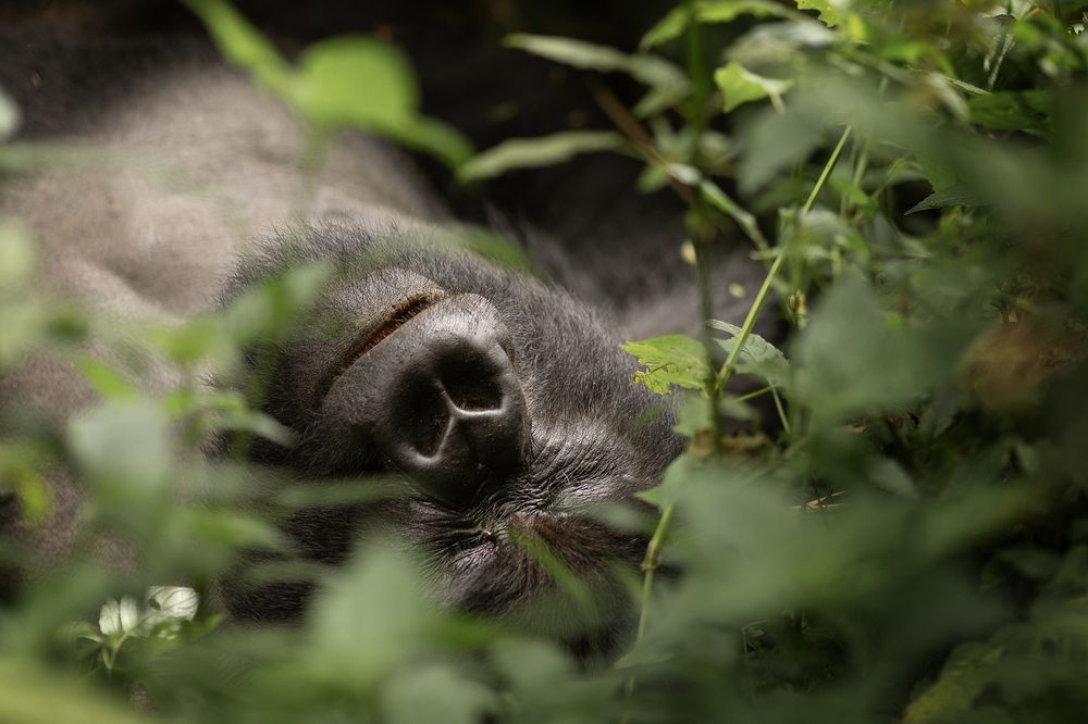 Photograph by Ольга Шайдулина