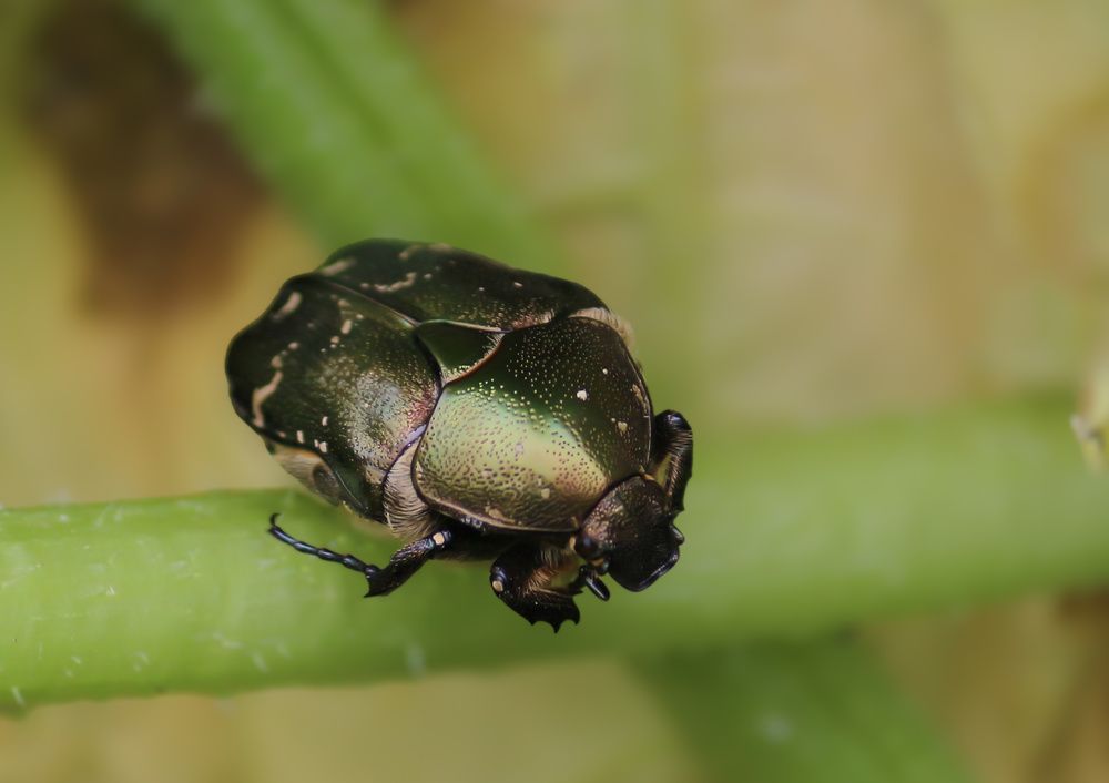 Photograph by Елена Федорова