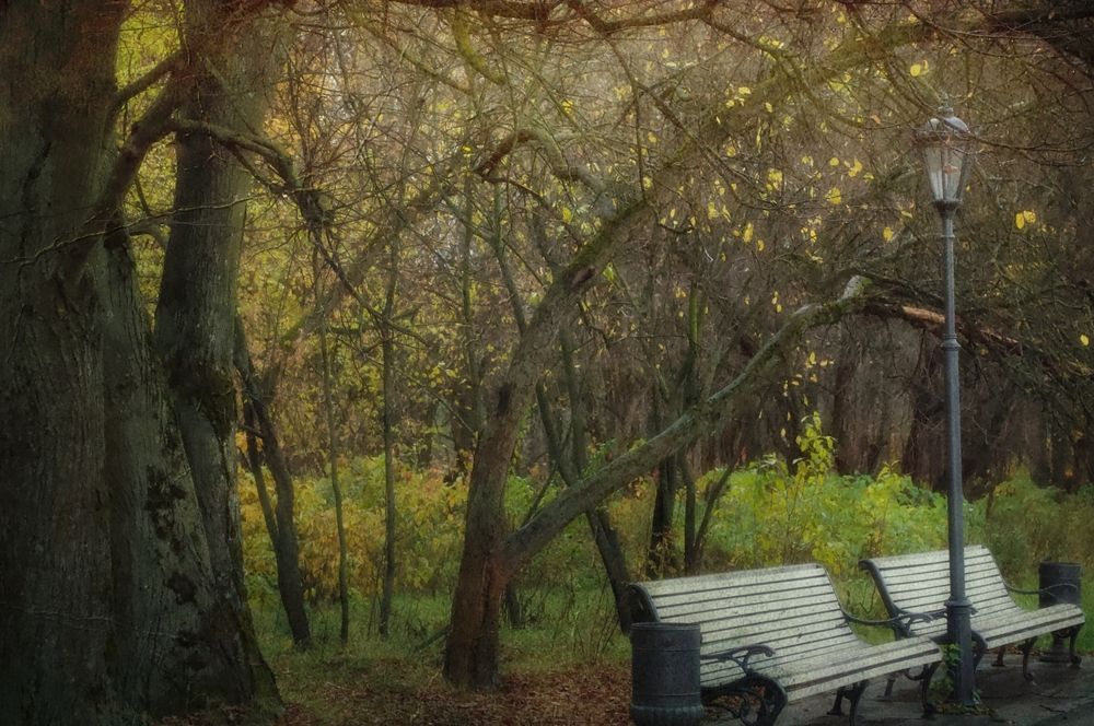 Photograph by Михаил Никитин