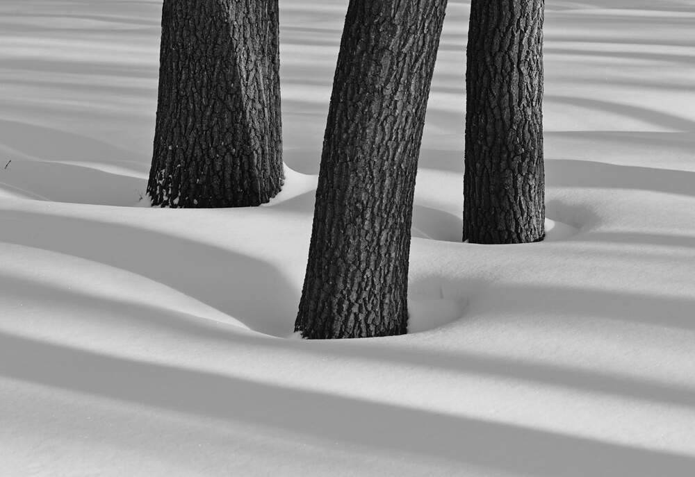 Photograph by Ясинский Константин