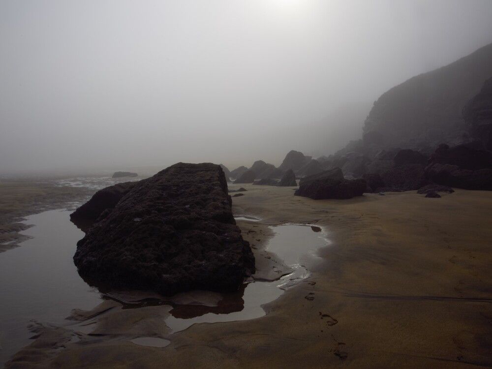 Мой нежный туман