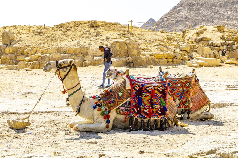 Photograph by Владимир Роля