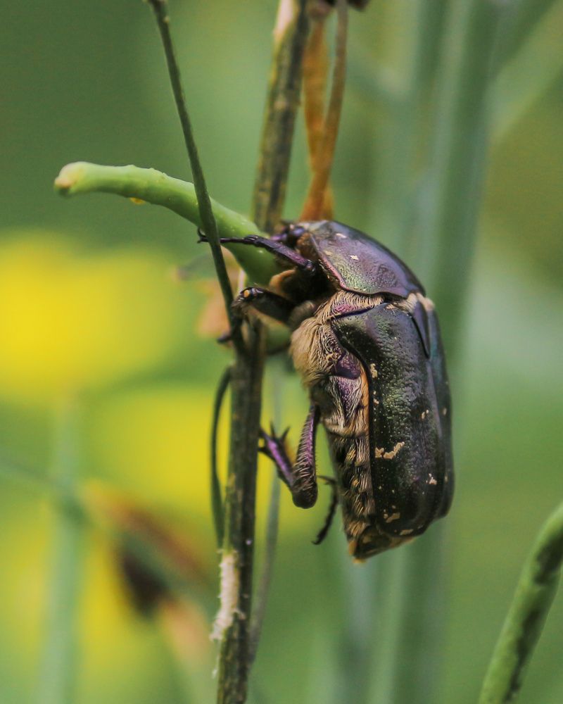 Photograph by Елена Федорова