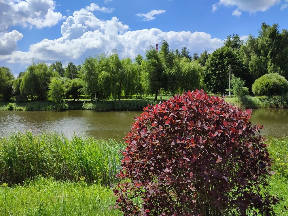 Photograph by Кира