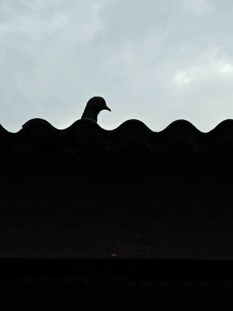 Photograph by Noor Azhar Abd Rasid