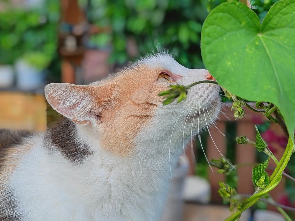 Photograph by Тамара Кремлева