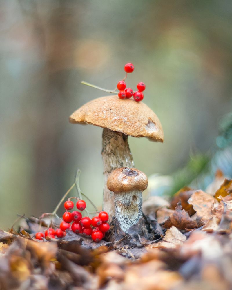 Осенний натюрморт