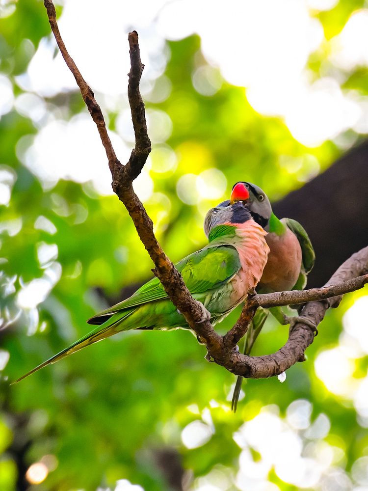 Photograph by Sarbani Chakraborty