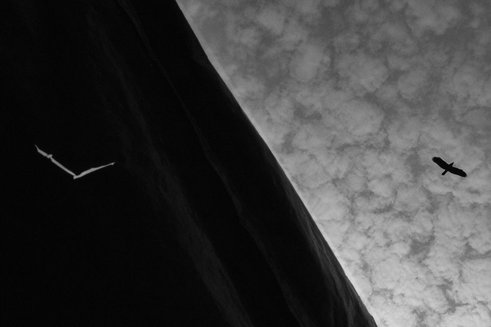 Photograph by Bhowmick Saumyadip