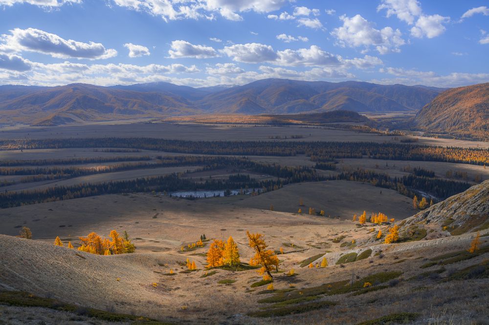 Степь да степь кругом...