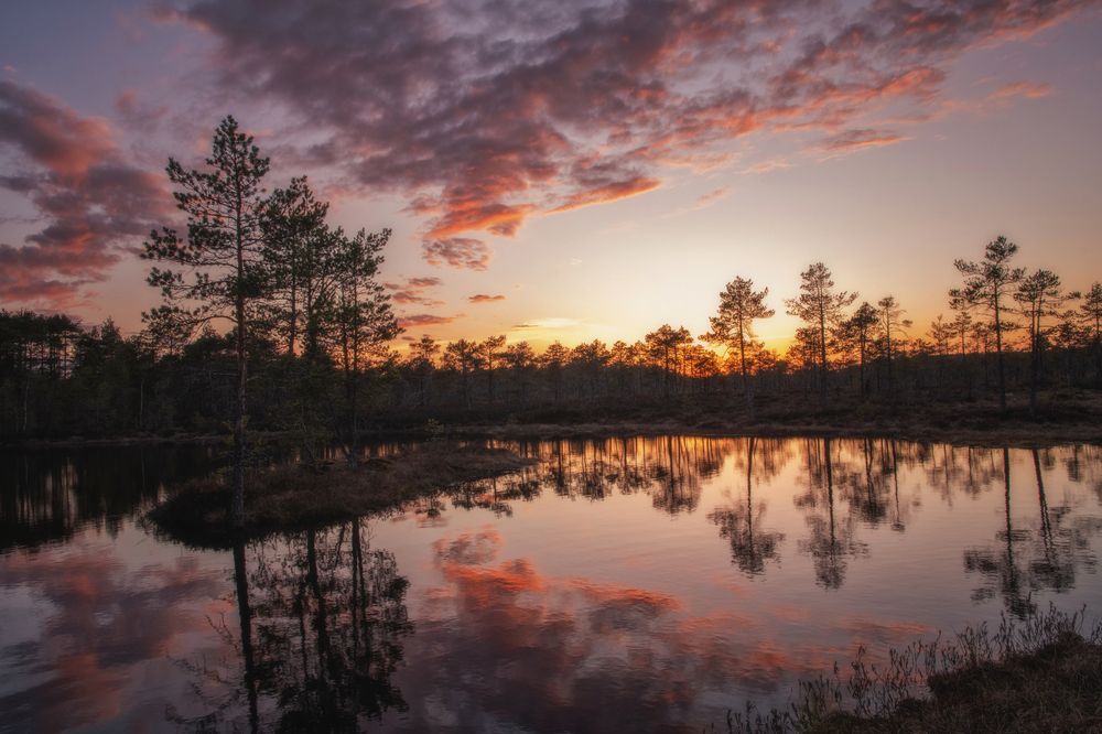 Photograph by Третьякова Анастасия